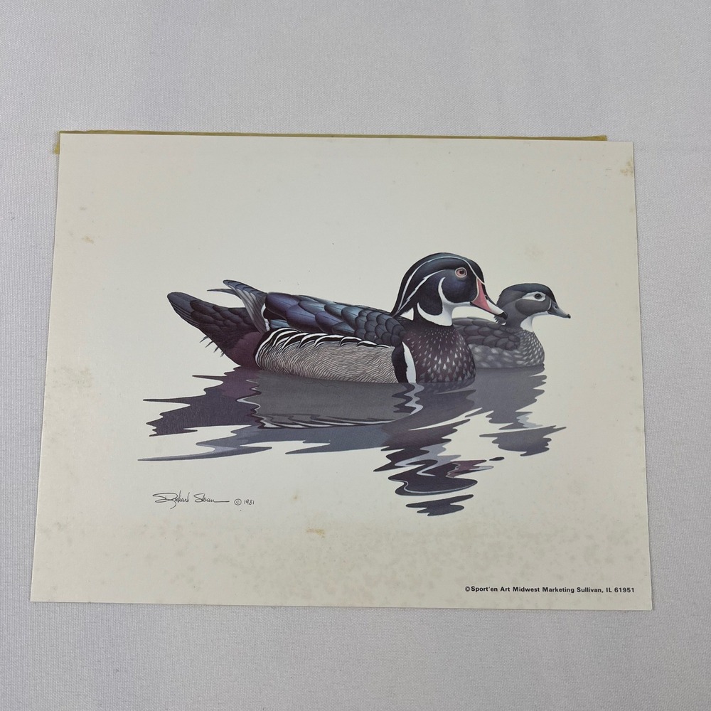 Richard Sloan Wood Duck Print 1981 Sport'en Art Vintage Wildlife Fair